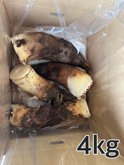 ダブルのたけのこ2kg