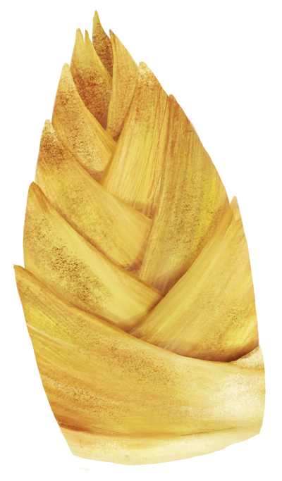 ダブルのたけのこ